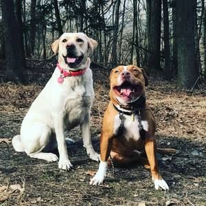 Meet your Posher, Frank